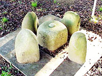 Photo ofBenchmark