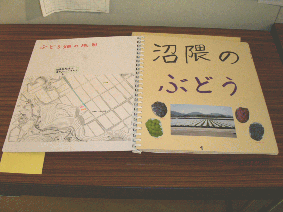 画像：沼隈のぶどう