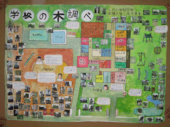 画像：学校の木調べ
