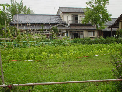 砂堆の上の家屋の写真