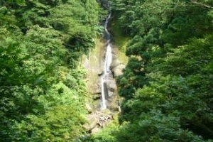 写真:登山道から見えた龍神(たつがみ)の瀧