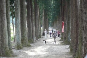 写真:立山寺の参道