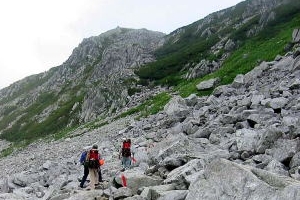 写真:龍王岳付近での現況調査