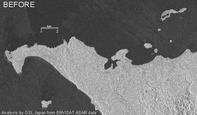 ニアス島及びバニャック諸島における海岸線変化