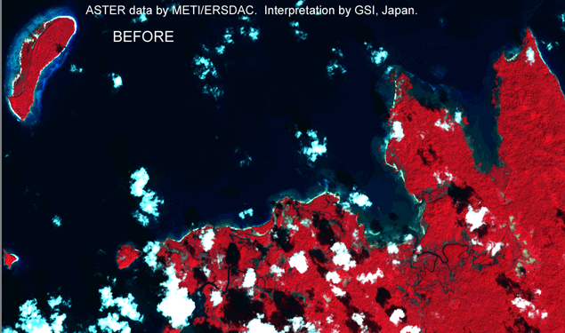 図１　ウェスト島、プライス岬（北アンダマン島北端）のASTER画像（隆起による離水） 