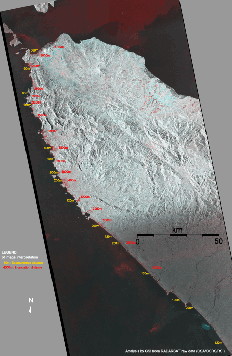 The images are derived from comparisons of intensity of reflected microwave observed before the earthquake and after the earthquake. 