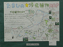 画像：「たましの帰化植物ＭＡＰ」
