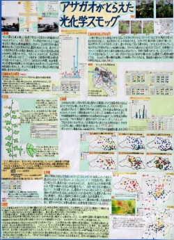 作品：「アサガオがとらえた光化学スモッグ」
