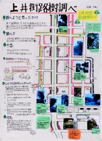 作品：「上井街路樹調べ」