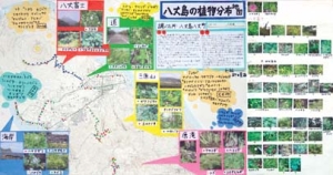 作品：八丈島の植物分布地図
