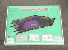 作品:「宍道湖の湖底地形とヤマトシジミの生息環境(模型)」