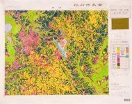 作品：｢土地利用図：成田｣