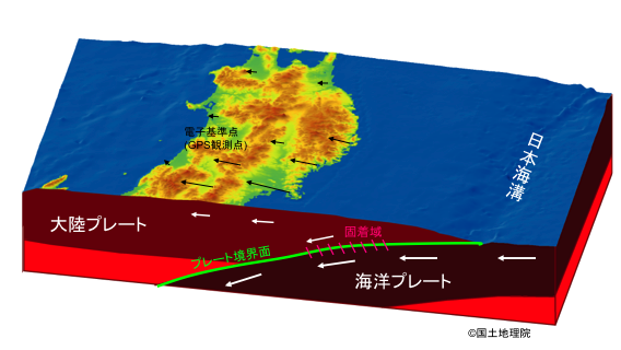 画像：プレートの沈み込みと固着域の概念図