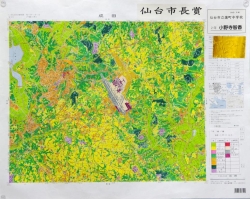 作品：「土地利用図　成田」
