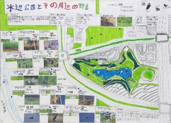 作品：水辺公園とその周辺の野鳥
