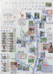作品：ぼくの町のふしぎな生き物プラナリア生息地図