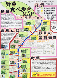 作品：野草食べ歩きMAP　in　所沢・東川