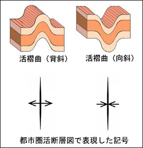 活褶曲の記号