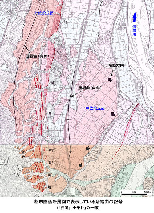 「長岡」「小千谷」