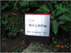 写真：標高1800m地点に到着