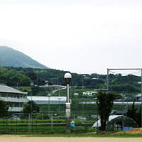 写真2_伐採後