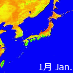 1998年NDVI年間画像