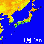 1999年NDVI年間画像