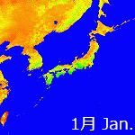 2000年NDVI年間画像