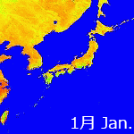 2001年NDVI年間画像
