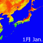 2002年NDVI年間画像
