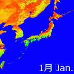 2003年NDVI年間画像