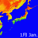 2004年NDVI年間画像