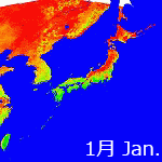 2005年NDVI年間画像