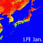 2005年NDVI年間画像