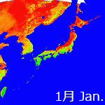 2006年NDVI年間画像