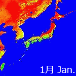 2006年NDVI年間画像