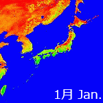 2007年NDVI年間画像