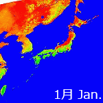 2008年NDVI年間画像