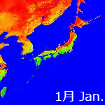 2009年NDVI年間画像