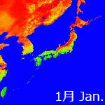2010年NDVI年間画像