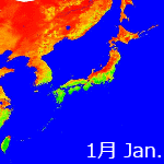 2011年NDVI年間画像