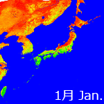 2012年植生指標データ