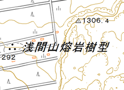 溶岩樹型の画像