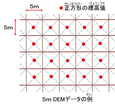 画像：５ｍDEMデータの例