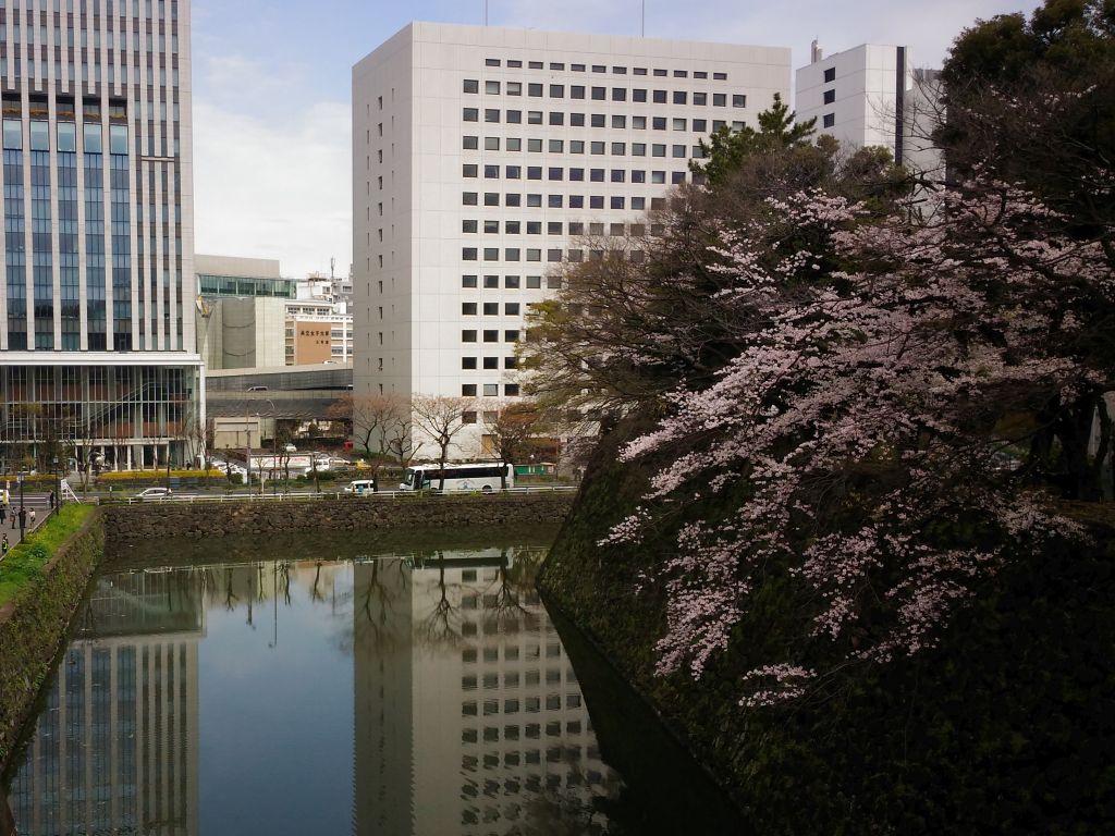 合庁周辺の風景2
