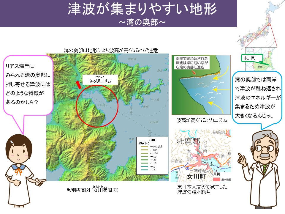 津波が集まりやすい地形である湾の奥部