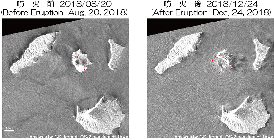SAR intensity image