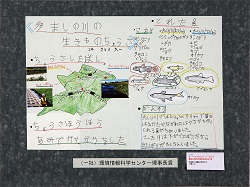 作品：多ましの川の生きものちょうさ