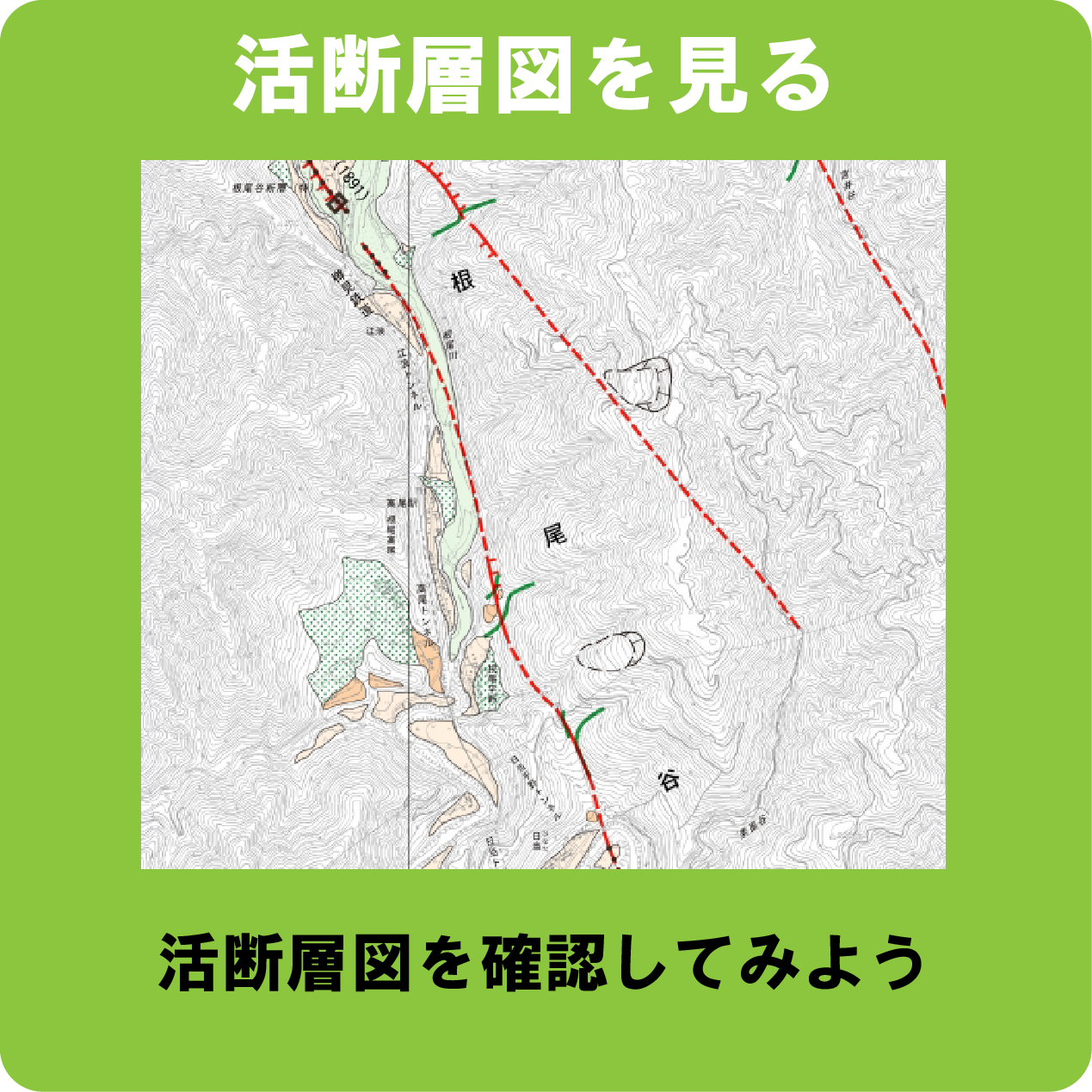諏訪湖の地形と断層