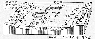 氾濫原の模式図
